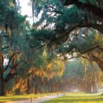 From Charleston: Boone Hall Plantation Entry with Transfers - FAQ