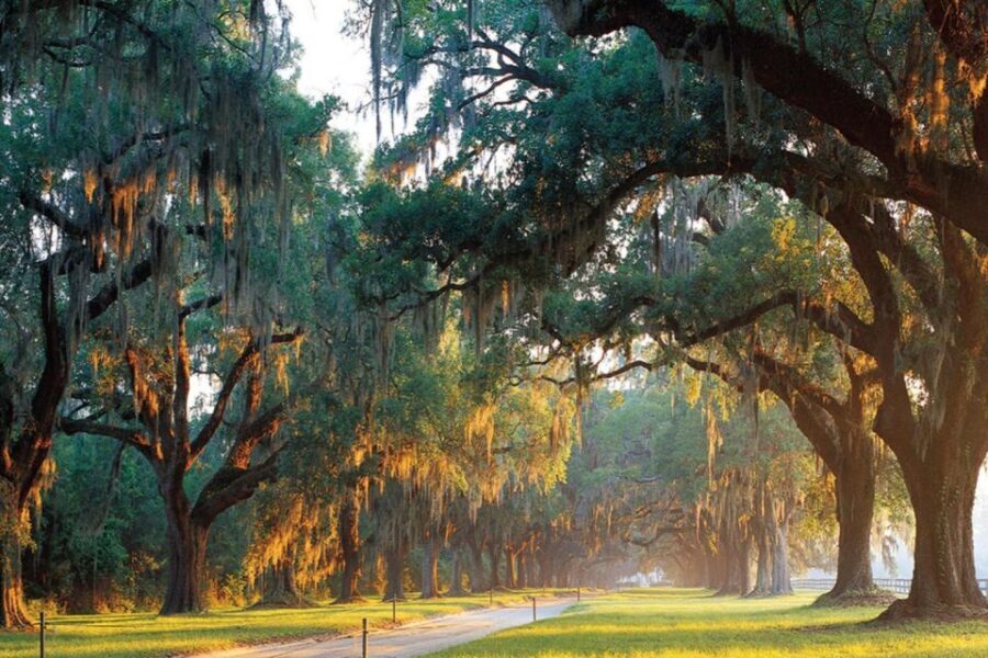 From Charleston: Boone Hall Plantation Entry with Transfers - FAQ