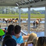 From Chincoteague Island: Assateague Island Boat Tour - Who Will Love This Experience?