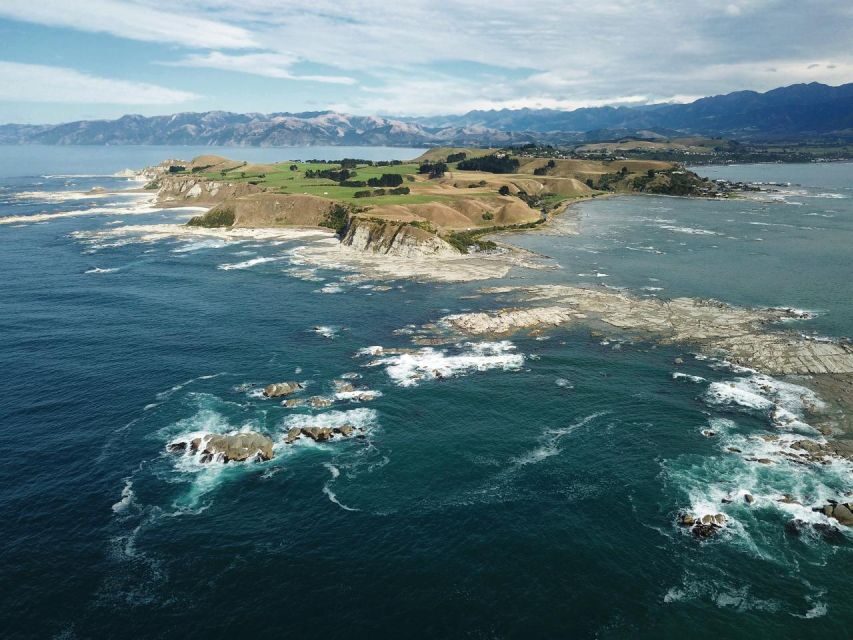 From Christchurch: Kaikura Day Tour With Dolphin Encounter - Authenticity and Practical Tips