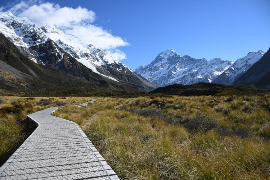 From Christchurch: Mt Cook Day Tour & Lake Tekapo