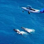 From Christchurch: Private Kaikoura Tour with Guide - Exploring the Journey: From Christchurch to Kaikoura