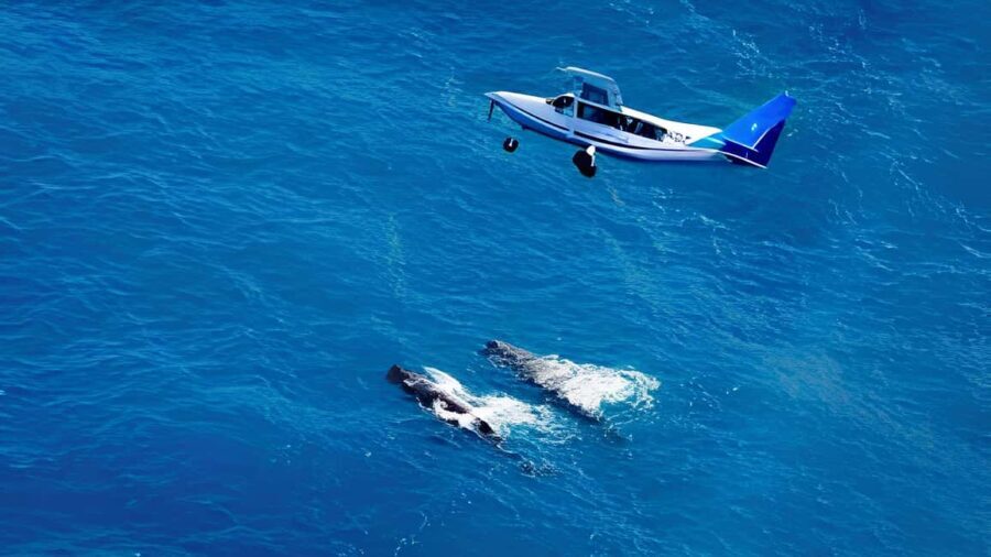From Christchurch: Private Kaikoura Tour with Guide - Exploring the Journey: From Christchurch to Kaikoura