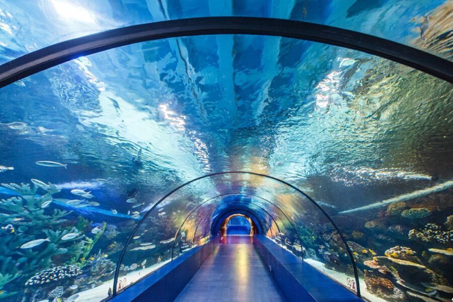 From City of Side: Antalya Aquarium Tour, Ticket & Transfer