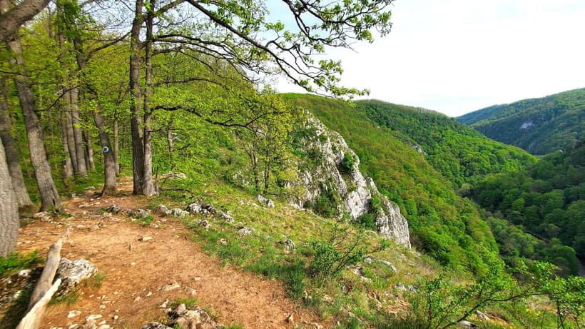 From Cluj: Gorges of Crisul Repede River - An In-Depth Look at the Crisul Repede Gorges Tour