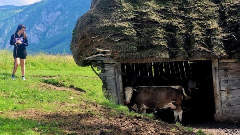 From Cluj-Napoca: Apuseni Mountains Hiking Guided Day Tour - Flora and Fauna Encounters