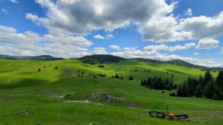 From Cluj-Napoca: Carpathian Mountains Guided Scenic Hike - A Closer Look at the Experience