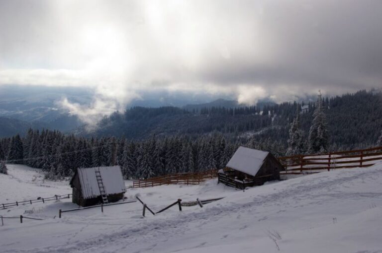 From Cluj-Napoca: Day Hike to Vldeasa Peak - Authenticity and Value