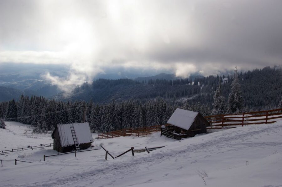 From Cluj-Napoca: Day Hike to Vldeasa Peak - Authenticity and Value