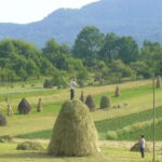 From Cluj-Napoca: Maramure 3-Day Tour with Accommodation - A Detailed Look at the 3-Day Maramure Experience