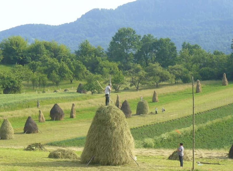 From Cluj-Napoca: Maramure 3-Day Tour with Accommodation - A Detailed Look at the 3-Day Maramure Experience