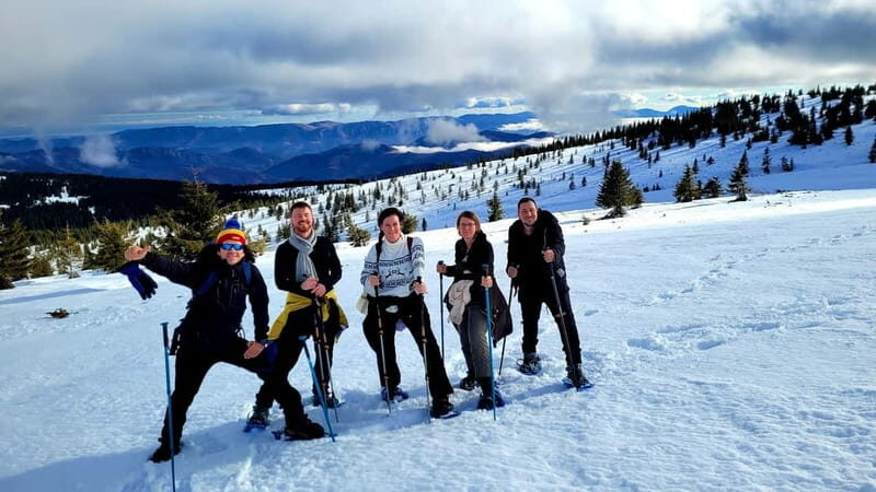 From Cluj: Winter Walking Trip on the Great Mountain - What the Hike Looks Like
