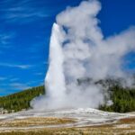From Cody: Full-Day Yellowstone National Park Tour - Final Thoughts
