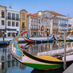 From Coimbra: Porto, Aveiro and Douro in Private with Tasting and Cruise - Who Will Love This Tour?