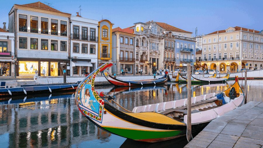 From Coimbra: Porto, Aveiro and Douro in Private with Tasting and Cruise - Who Will Love This Tour?