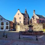 From Colmar: Alsace wine route tour Half Day - The Value of This Tour