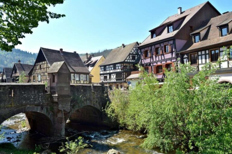From Colmar: Alsace wine route tour Half Day - The Transport & Logistics: Comfort and Convenience