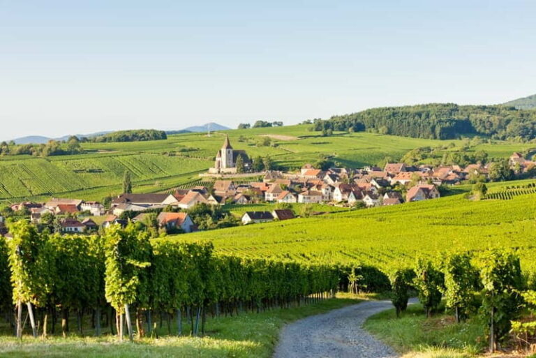 From Colmar: Haut-Koenigsbourg Castle and Villages Day Tour - What’s Included and What to Consider