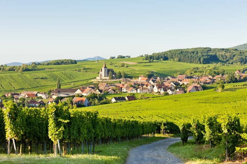 From Colmar: Haut-Koenigsbourg Castle and Villages Day Tour - What’s Included and What to Consider