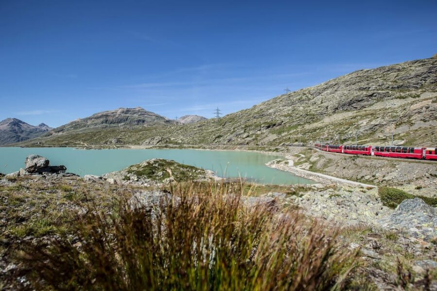 From Como: St. Moritz and Tirano Trip with Bernina Express - What Makes This Tour Stand Out