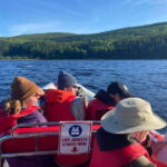 From Corner Brook : Bay Of Islands Island Zodiac Boat Tour - Exploring the Bay of Islands Zodiac Tour: What You Can Expect