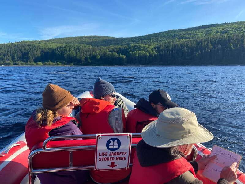 From Corner Brook : Bay Of Islands Island Zodiac Boat Tour - Exploring the Bay of Islands Zodiac Tour: What You Can Expect