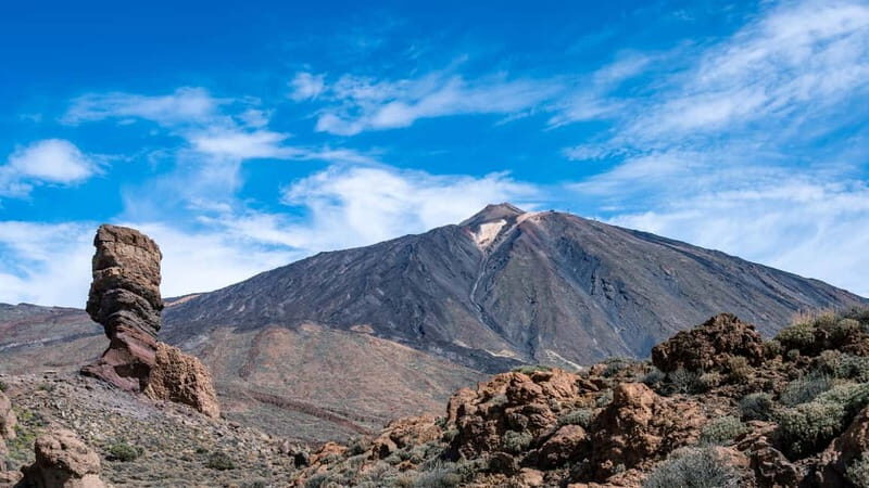From Costa Adeje or Santa Cruz: Contrasts of Tenerife Tour - Setting Expectations and Practicalities