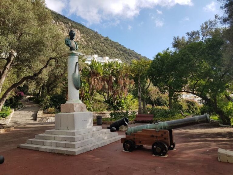 From Costa del Sol: Gibraltar Dolphin Watching by Boat - Detailed Analysis: What Does This Tour Offer?