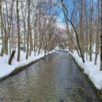 From Covilhã: Serra da Estrela Guided Tour with Lunch - FAQ