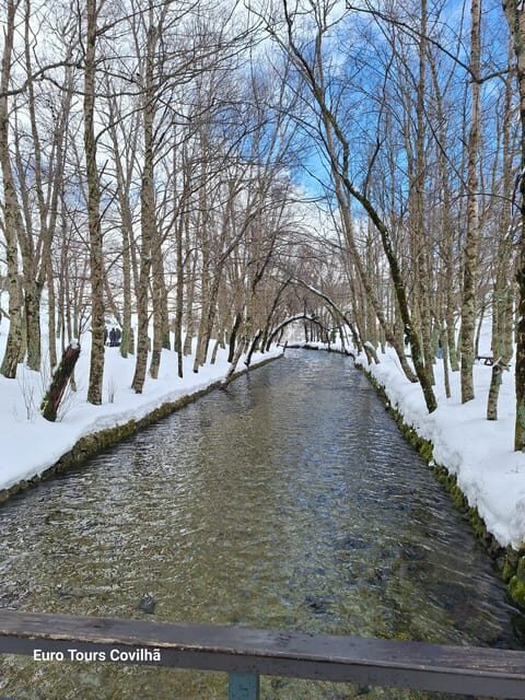 From Covilhã: Serra da Estrela Guided Tour with Lunch - FAQ
