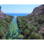 From Crete: Kourtaliotiko Gorge & Preveli Tour - The Value of This Experience