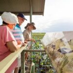 From Darwin: 2-Day Kakadu Cooinda & Yellow Water Cruise - A Deep Dive into the 2-Day Kakadu Experience