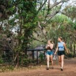 From Darwin: Kakadu Wilderness Escape Day Tour - The Heart of the Tour: In-Depth Review
