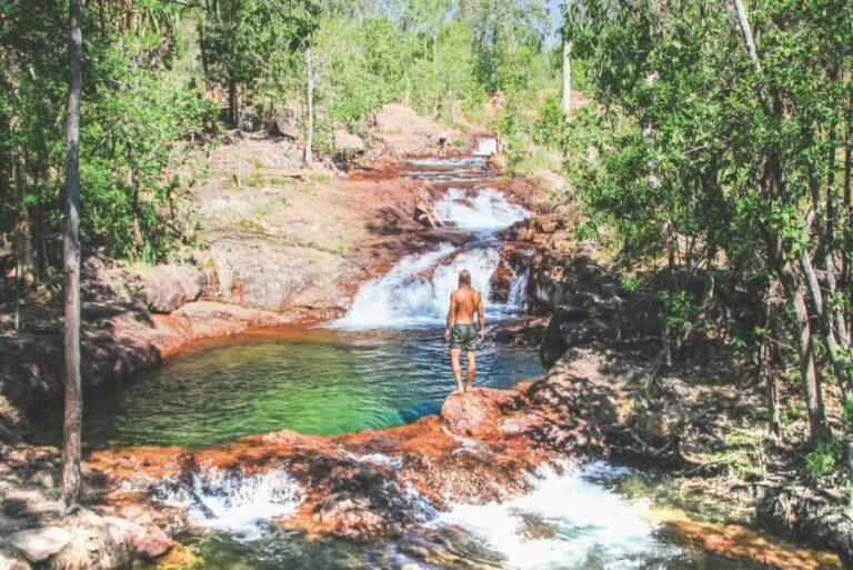 From Darwin: Litchfield National Park Day Trip - What Makes This Tour Stand Out