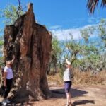 From Darwin: Litchfield National Park Small-Group Day Trip - Who Will Love This Tour?