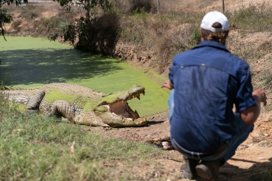 From Darwin: Top End Helicopter Ride & BBQ Cruise Day Trip - Final Thoughts