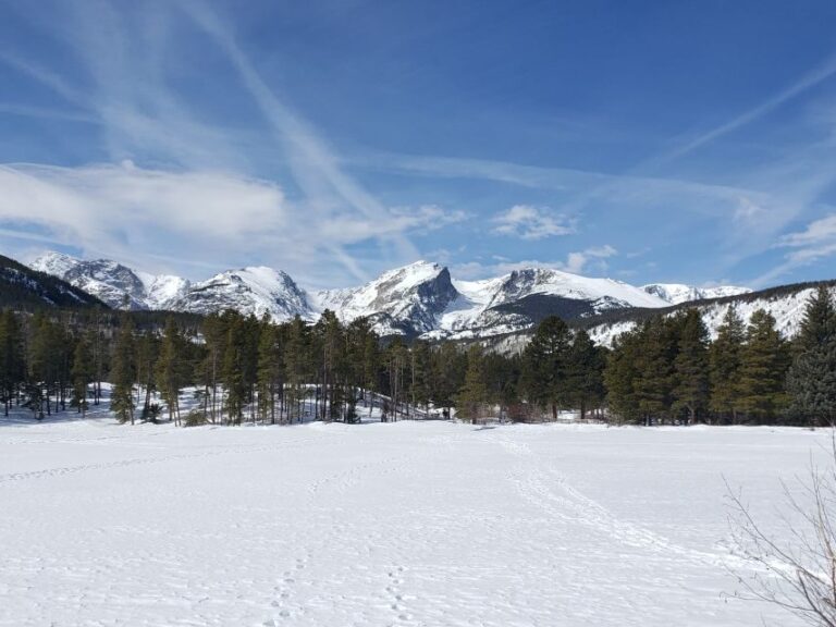 From Denver: Rocky Mountain National Park Winter/Spring Tour - Exploring the Rockies — A Closer Look