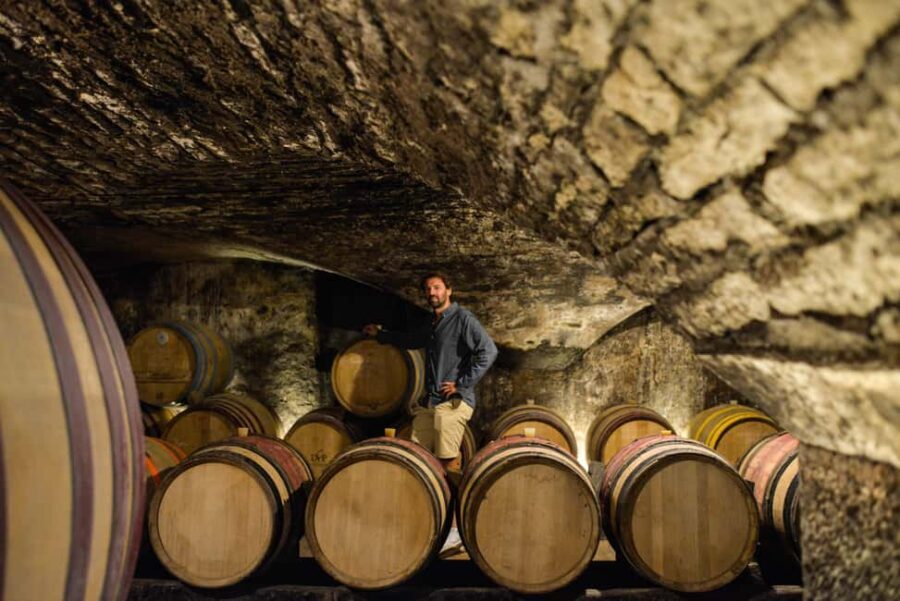 From: Dijon/Beaune: Burgundy Region Winery Tour with Lunch - A Complete Breakdown of the Burgundy Winery Tour