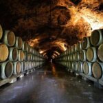 From Dijon: Côte de Nuits Wine-Tasting Tour - An In-Depth Look at the Côte de Nuits Wine-Tasting Tour