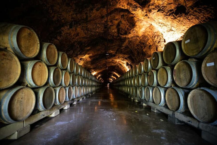 From Dijon: Côte de Nuits Wine-Tasting Tour - An In-Depth Look at the Côte de Nuits Wine-Tasting Tour