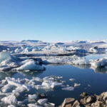 From Djúpivogur: Glacier Lagoon & Diamond Beach Day Trip - An In-Depth Look at the Tour Experience