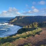 From Dublin: Giants Causeway Private Tour - A Detailed Breakdown of the Itinerary