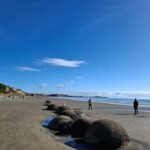 From Dunedin: Mt. Cook and Lake Pukaki Private Day Tour - An In-Depth Look at the Experience