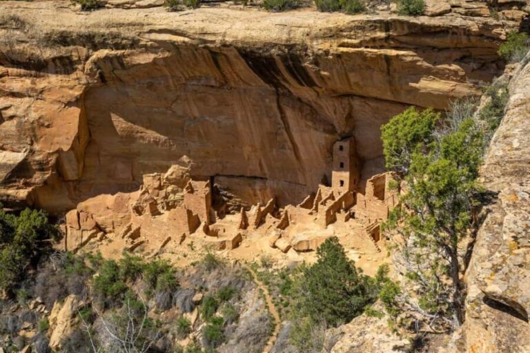 From Durango: Mesa Verde Express Tour & Cliff Palace Ticket - A Detailed Look at the Mesa Verde Experience