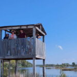 From Durres: Karavasta Lagoon Adventure Boat Tour & Wildlife - Who Will Enjoy This Tour?
