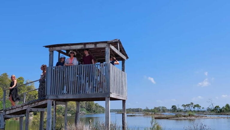 From Durres: Karavasta Lagoon Adventure Boat Tour & Wildlife - Who Will Enjoy This Tour?