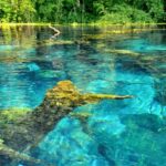 From Durrës or Golem: Ksamil, Saranda and Blue Eye Tour - A Closer Look at the Tour Experience