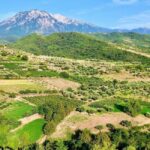 From Durrës: Wine Tasting at Alpeta Winery in Berat - FAQ