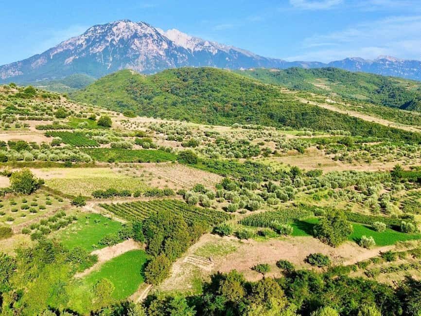 From Durrës: Wine Tasting at Alpeta Winery in Berat - FAQ