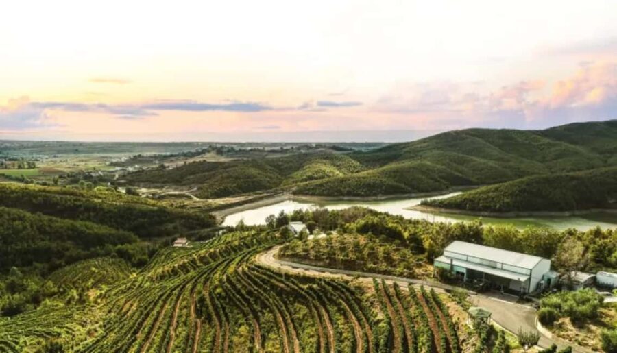 From Durres: Wine Tasting in Duka Winery - Who is This Tour Best For?